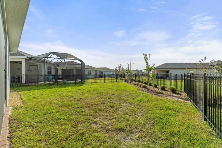 Fenced Back Yard