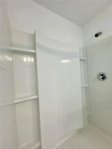 Primary Walk in Shower