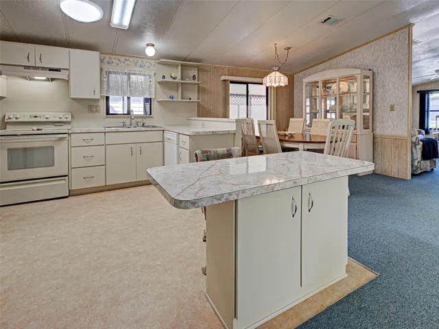 ROOMY KITCHEN AREA WITH PLENTY OF COUTER SPACE & CABINETS.