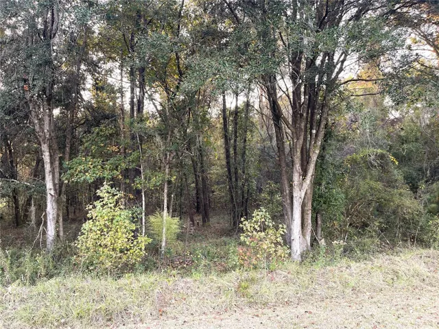 Front of Lot. NW 145th Ave LOT 25, Williston, FL 32696