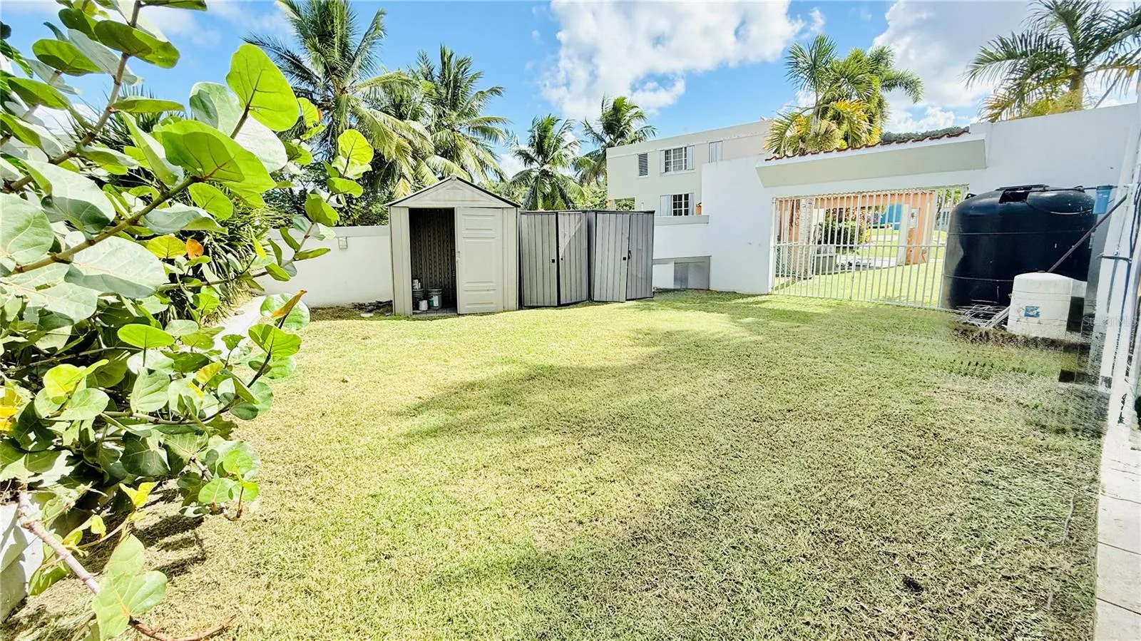 RIGHT SIDE OF THE BACKYARD