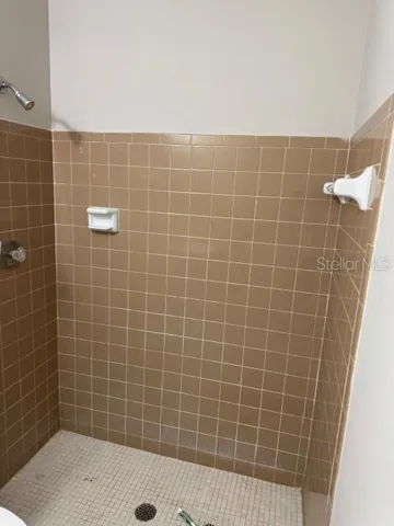 Master bath with shower
