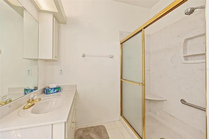 Master bath step in shower with seat and grab bar