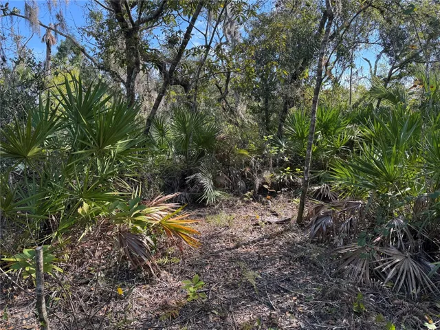 Trail view (looking Northwest)
