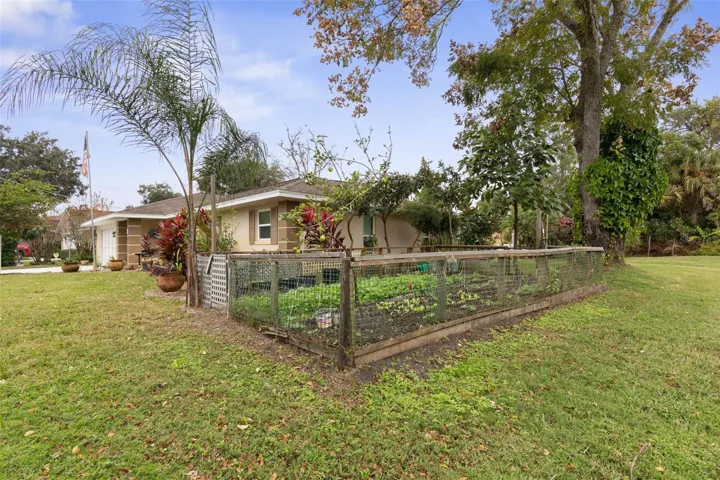 Vegetable Garden