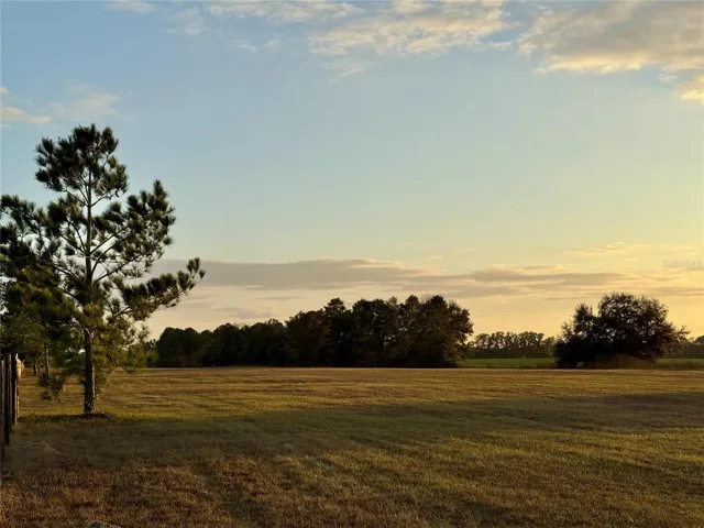 Grass Airstrip