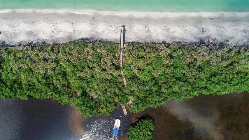Ferry Destination Beach Island