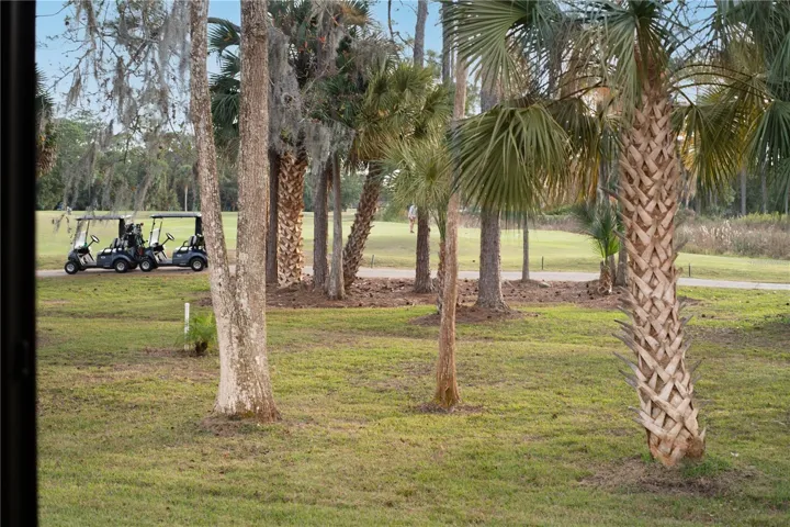 18th hole/back yard