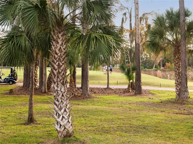 18th hole/back yard