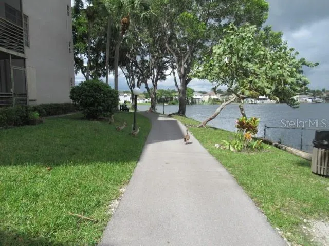 jogging trail