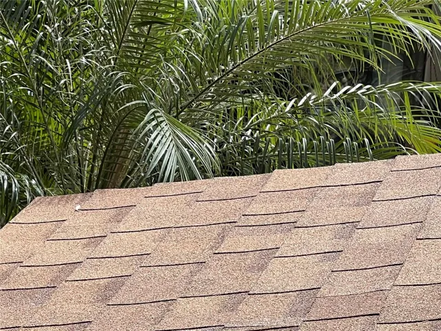 Brand New Roof January 2025