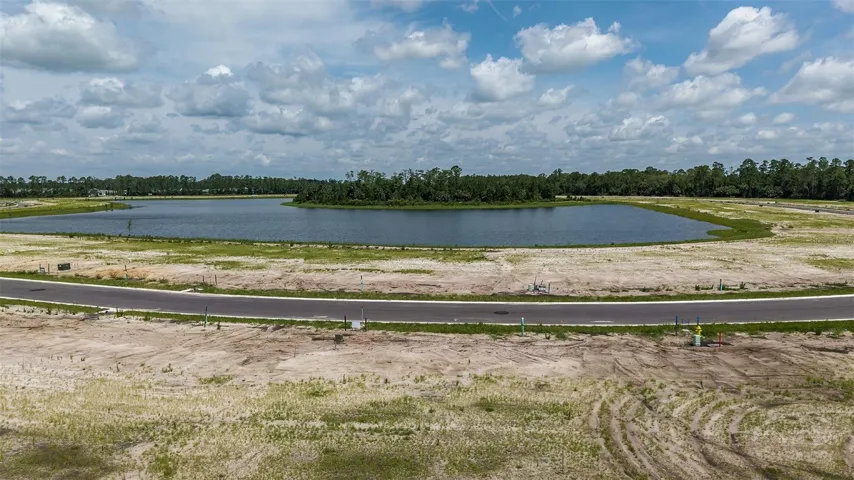 Ardisia Park Community