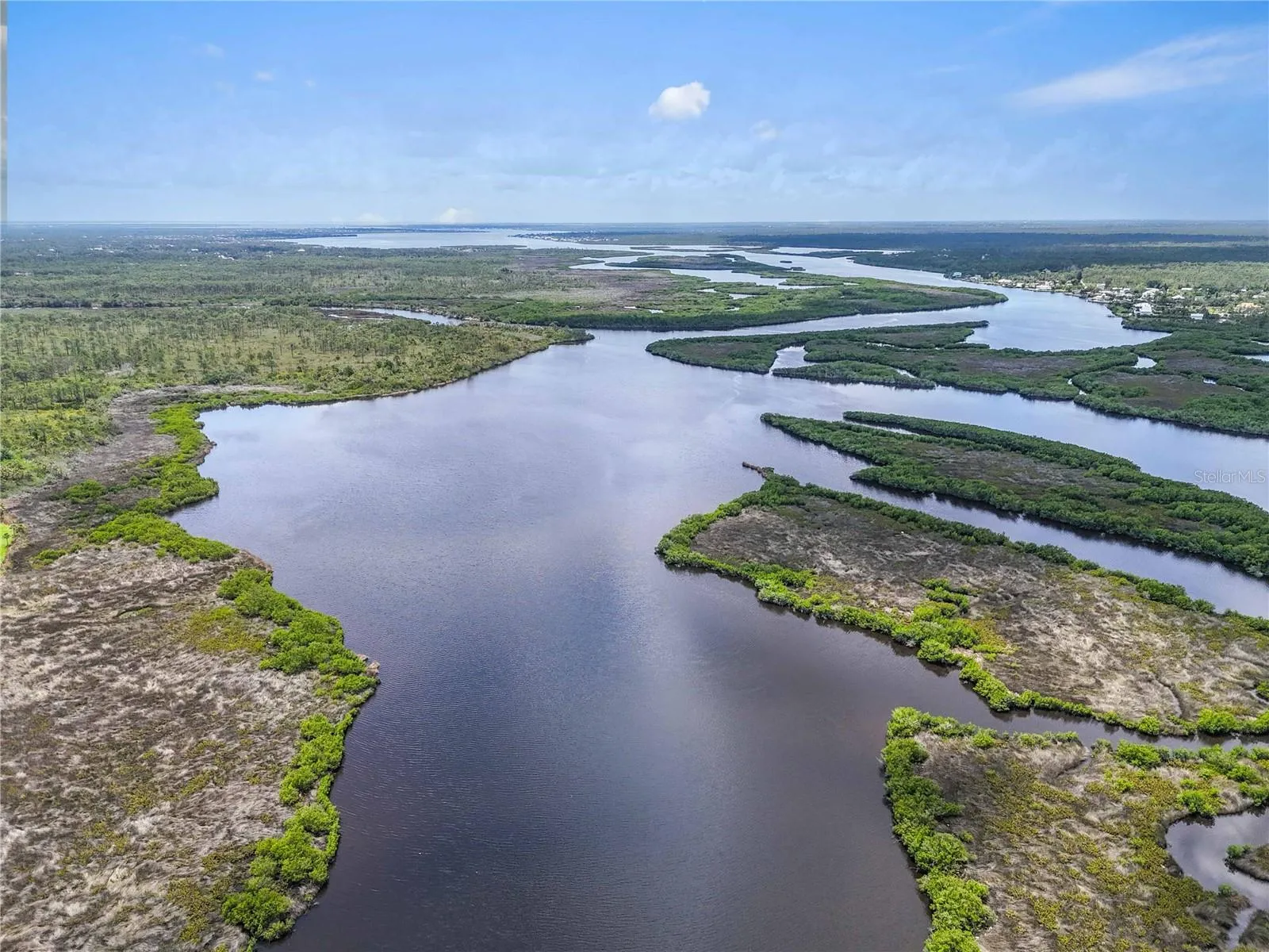 The scenic Myakka River