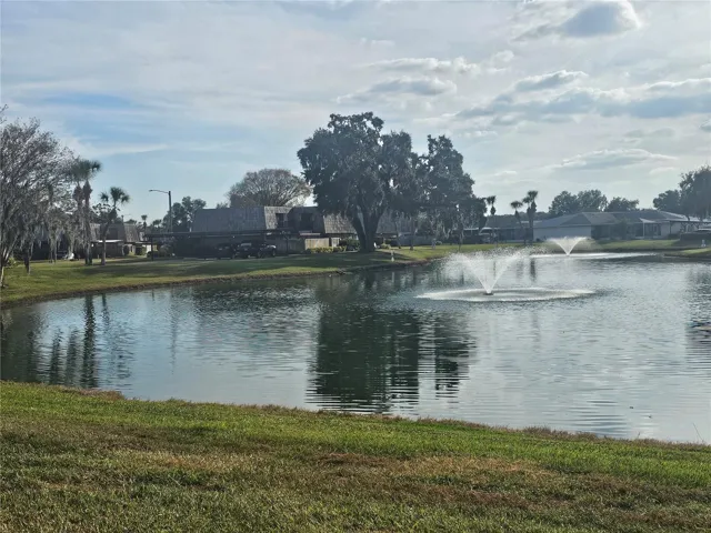 Beautiful pond view from unit