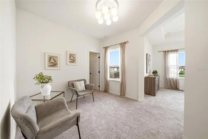 Primary Bedroom Loft