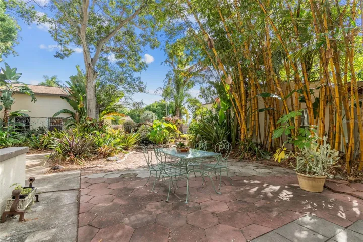 Backyard Patio