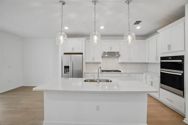 Abundance Storage and Counter Space
