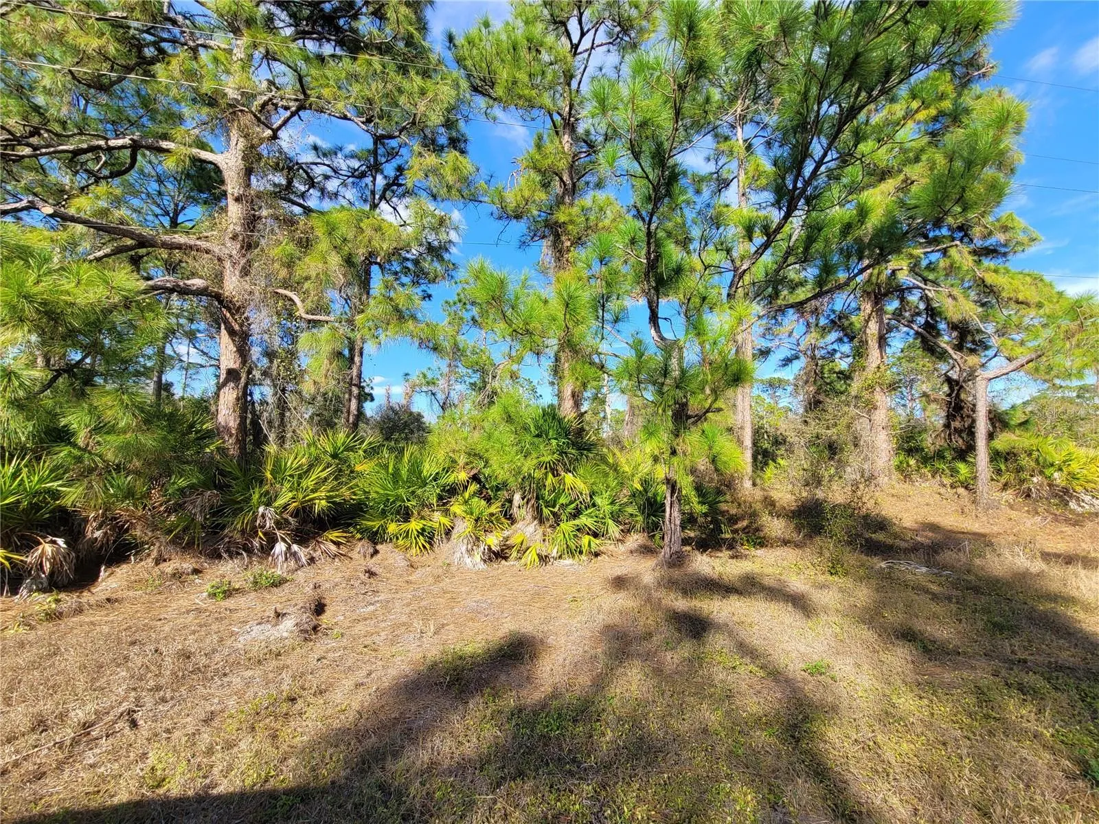 236 Pinola Ave S Lehigh Acres