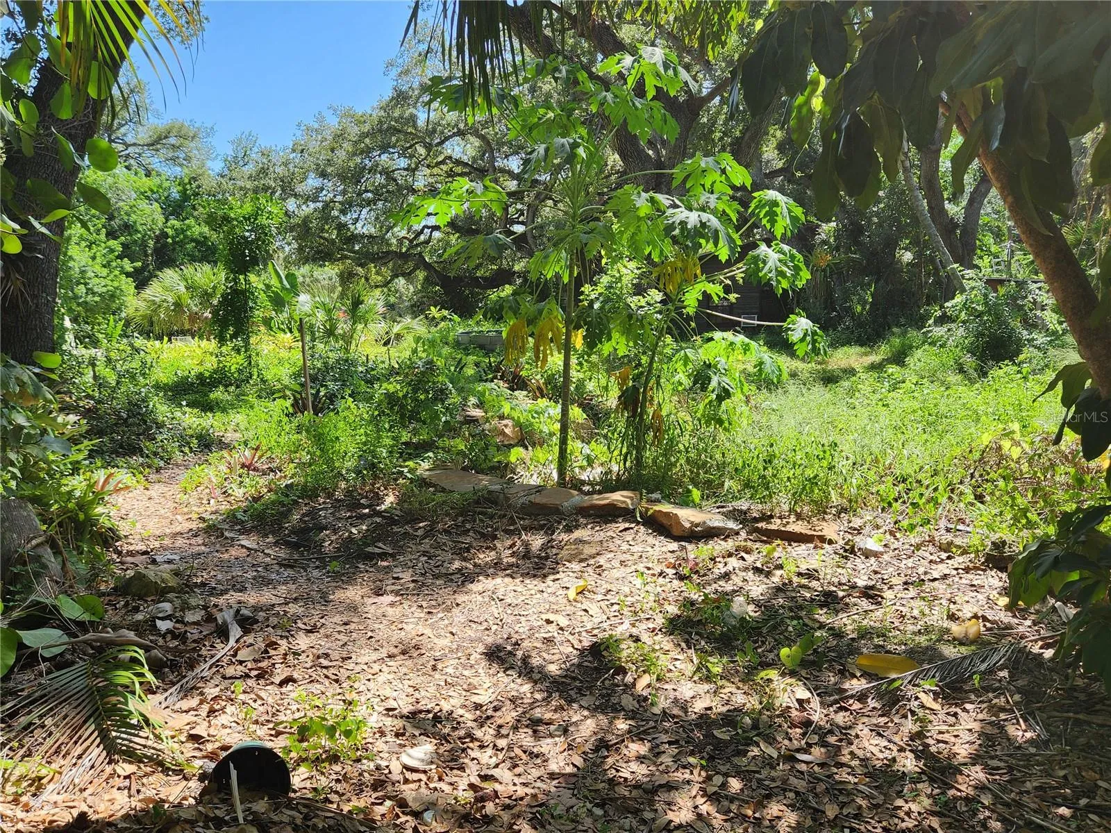 lot view from carport