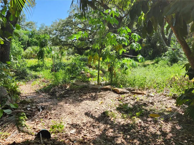 lot view from carport