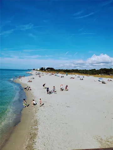 Sharky's Beach