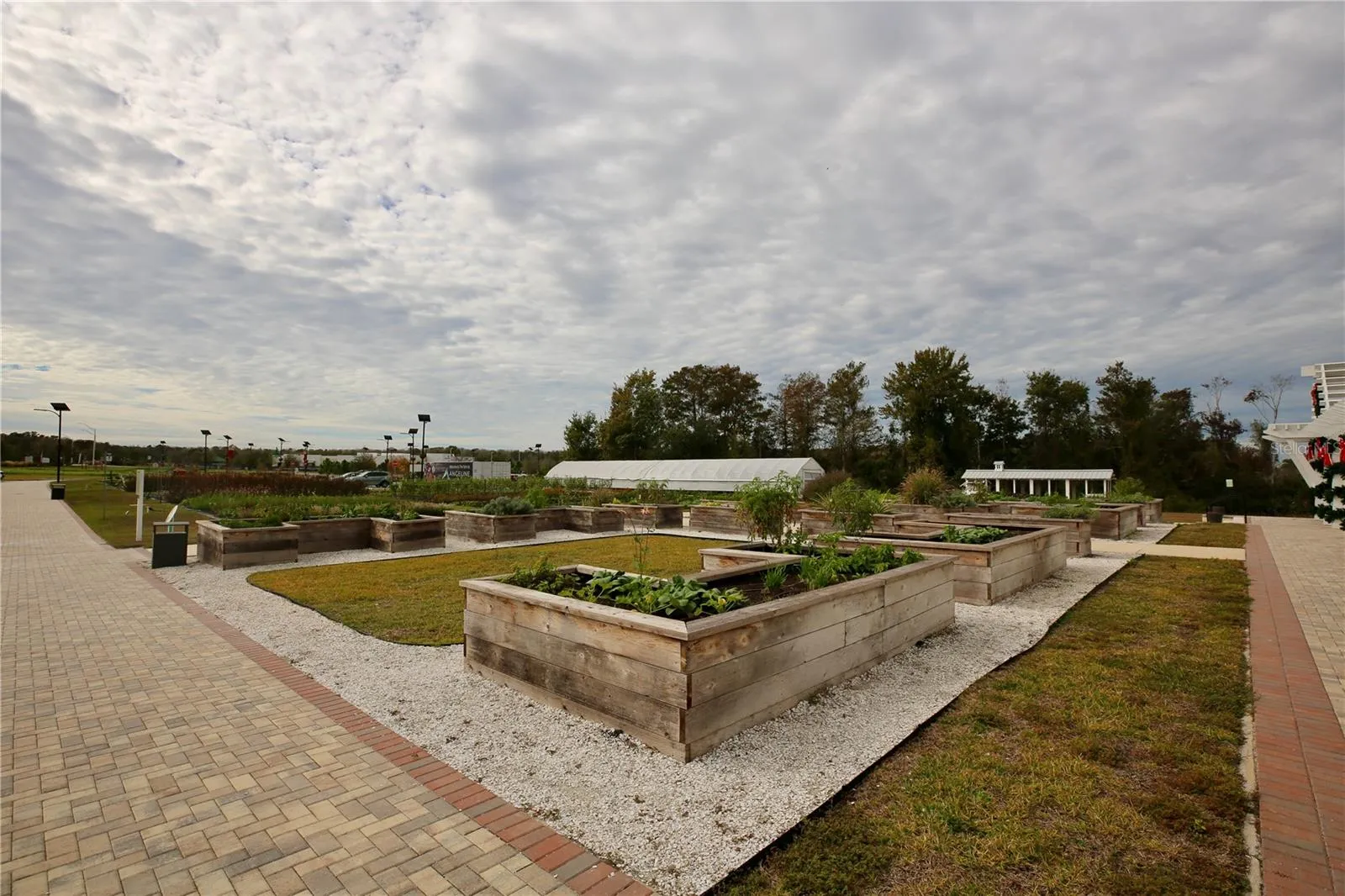 community gardens