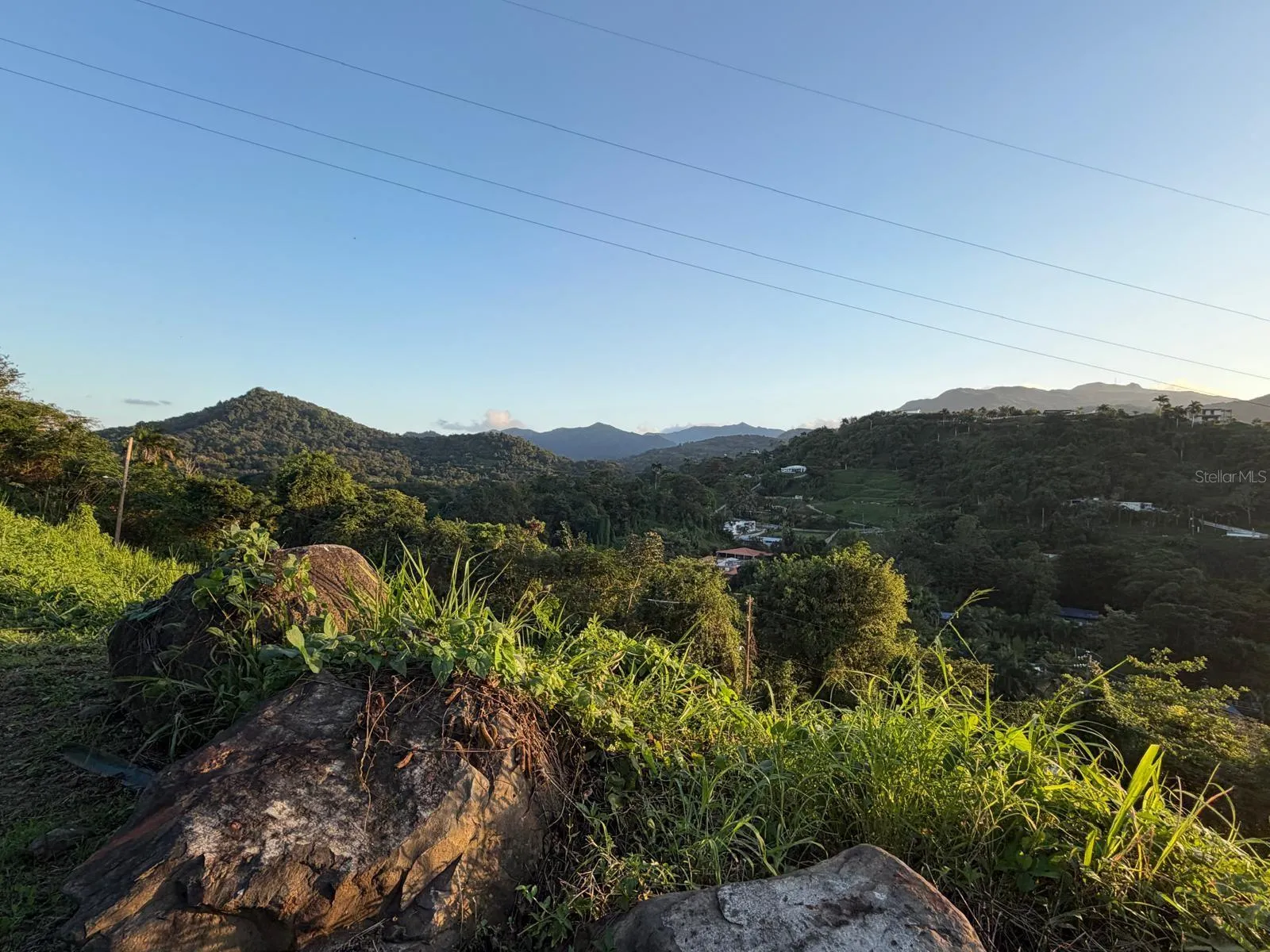 View