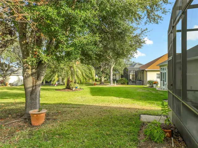 BACK YARD