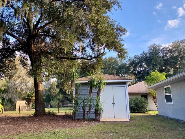 Back Yard Shed
