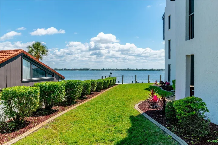 Looking Out to Lemon Bay