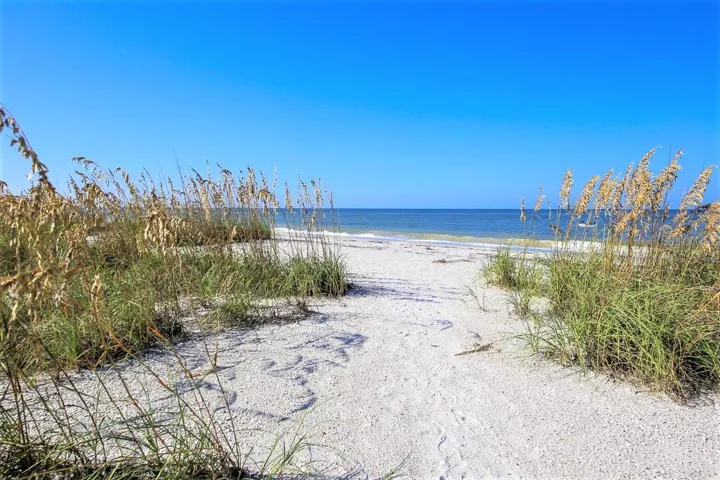 Serene & Peaceful landscape along the beaches on Little Gasparilla Island