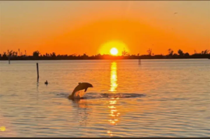 A true photo from Placida Harbour Club at sunset