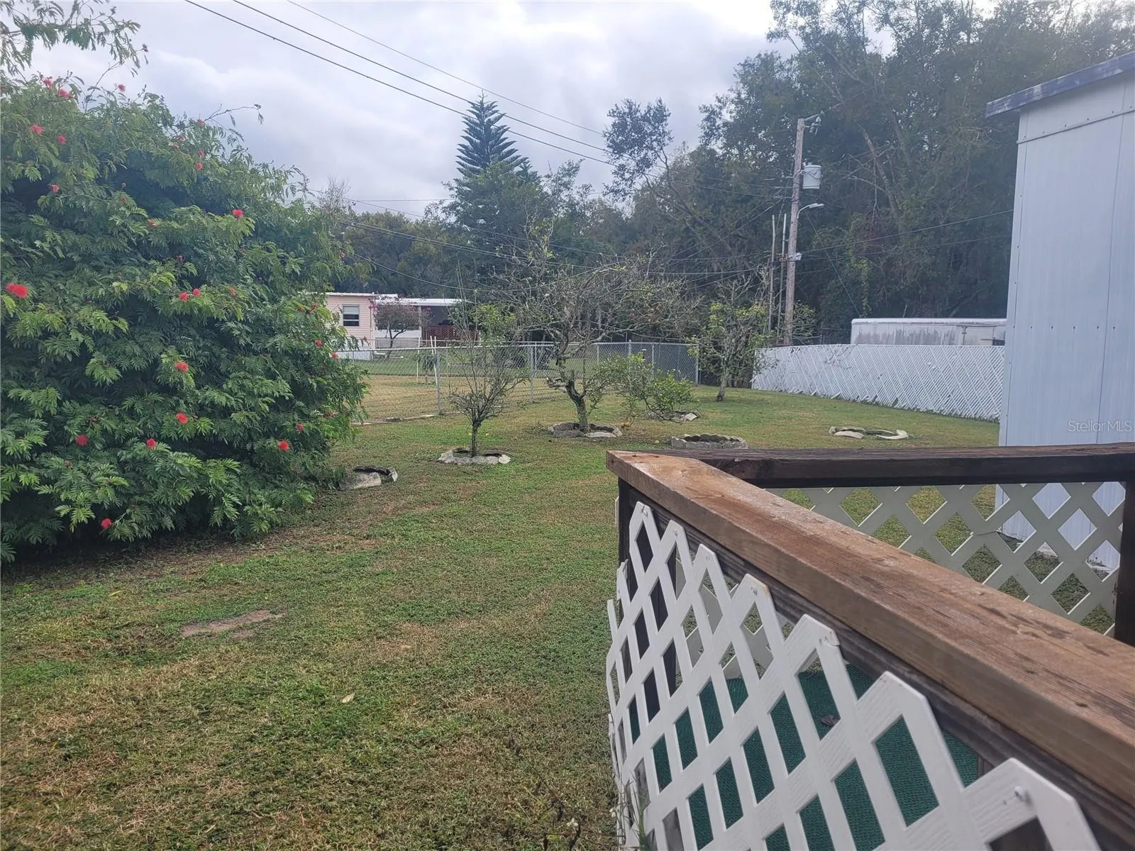 Back yard