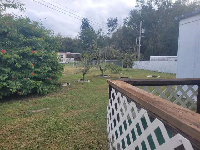 Back yard
