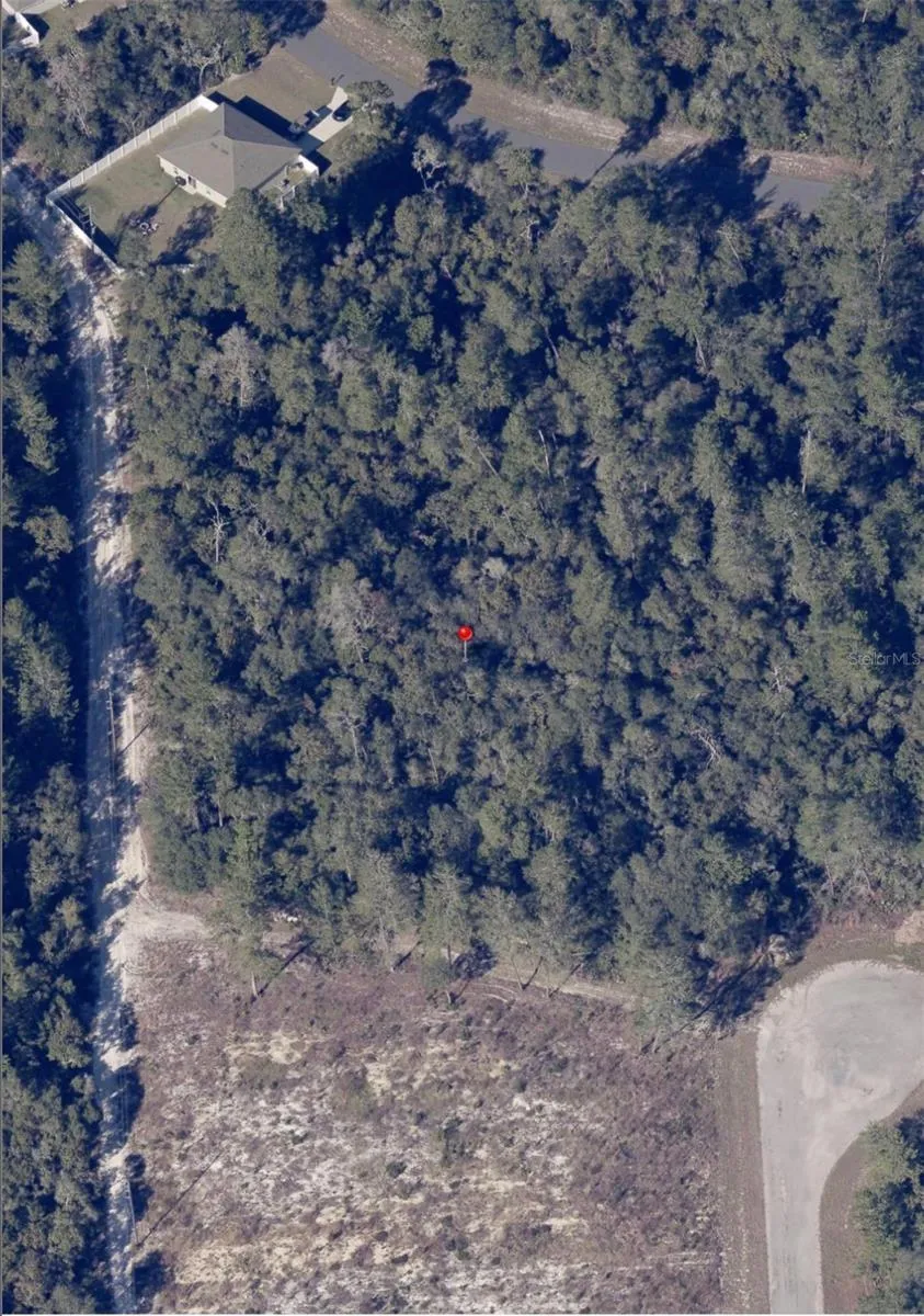 Boundary lines are estimated and should be confirmed by agent and buyer.