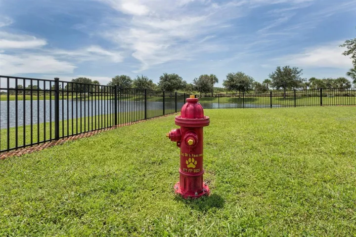 Dog Park