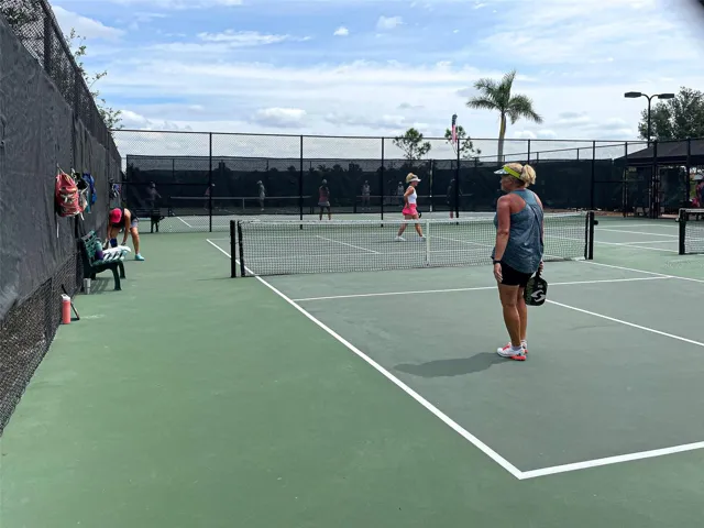 Pickleball Court