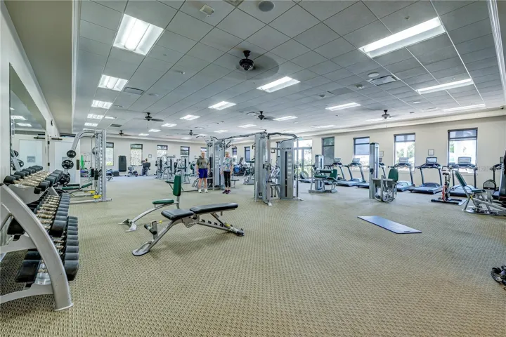 Fitness Equipment