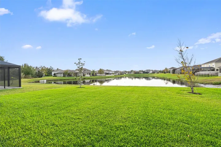 View of Pond