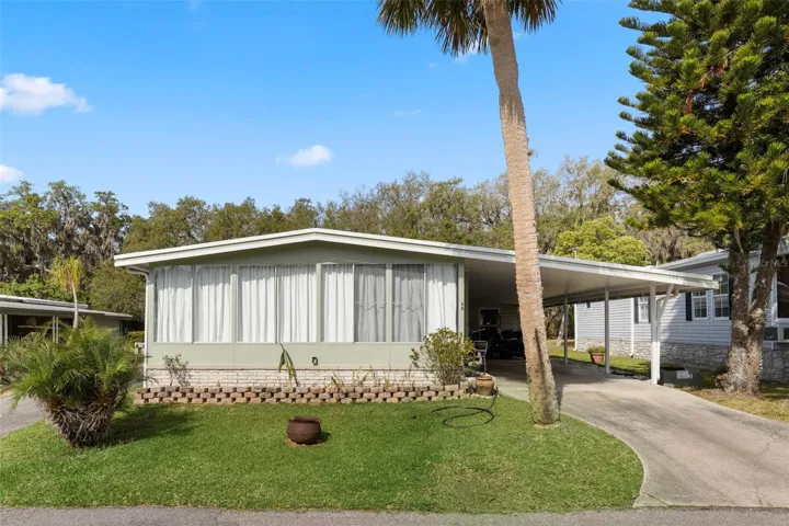 Welcome to 8 A Cocos Plumosa