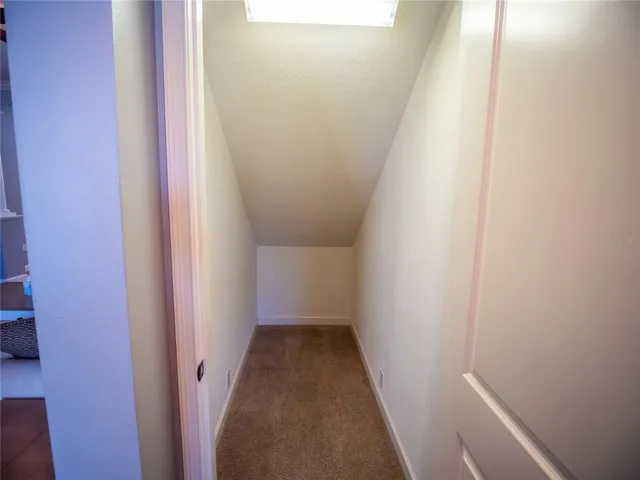 Under Stairs Storage