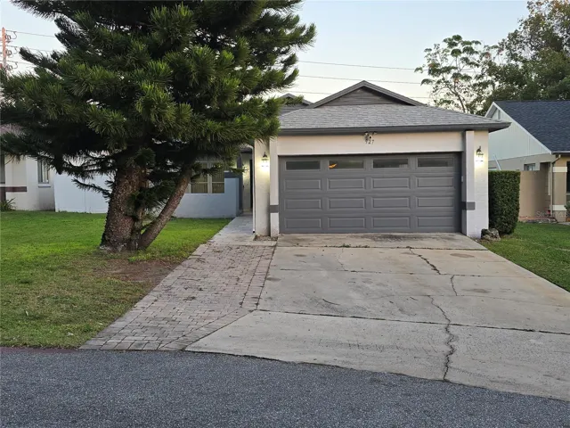 front of the house