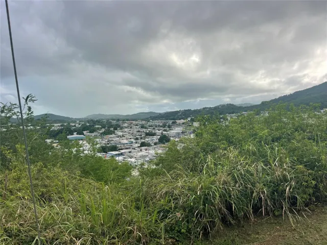 Fajardo town