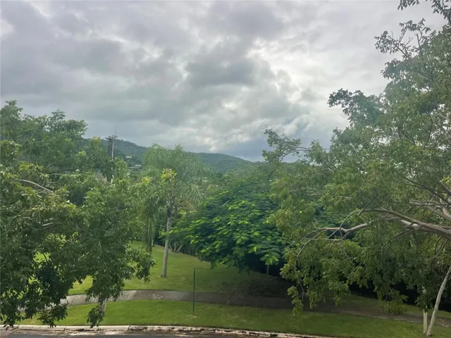 El Yunke rain forest from the balcony