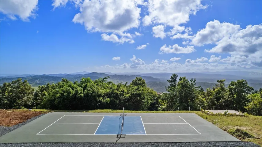 Pickleball Court