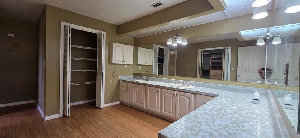 Primary Bathroom Vanity Area & Linen Closet