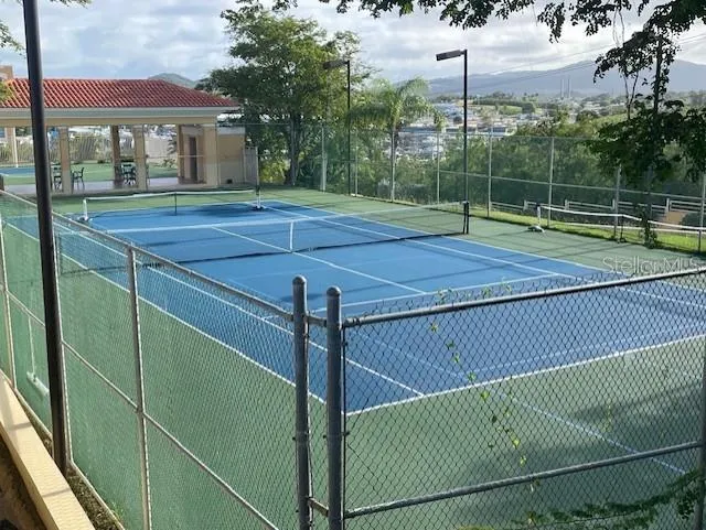 Tennis & Pickleball court