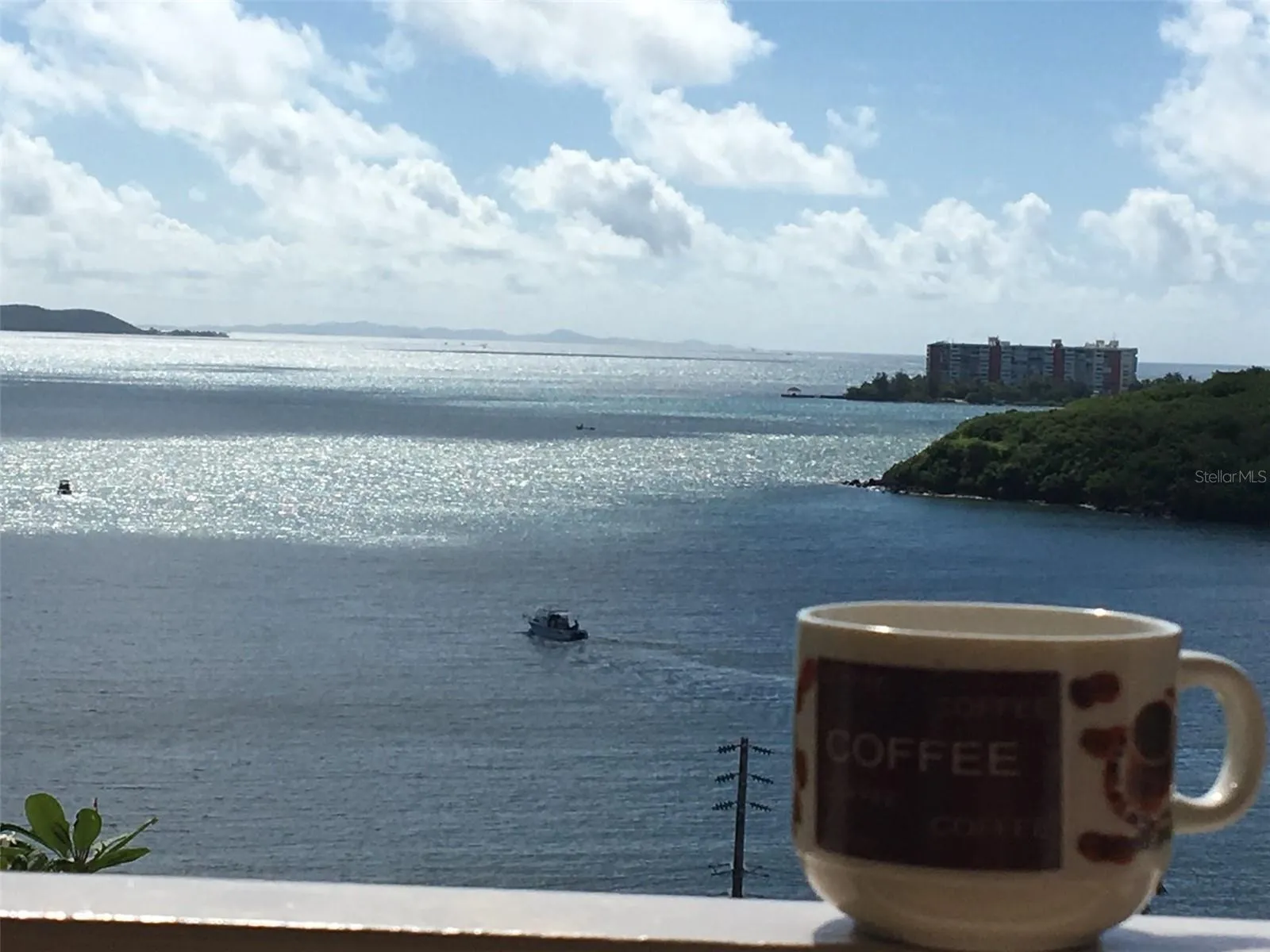 Just a Morning Coffee