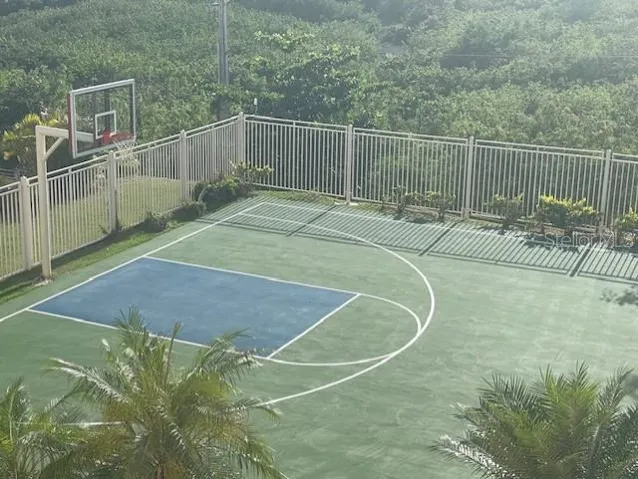 1/2 Basket court