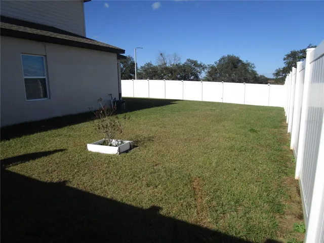 Back area